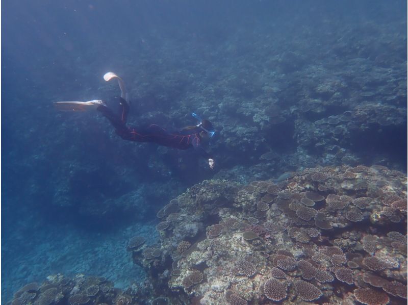 [Okinawa Ishigaki Island] Enjoy half-day skin diving while surrounded by fish and corals (AM/PM)