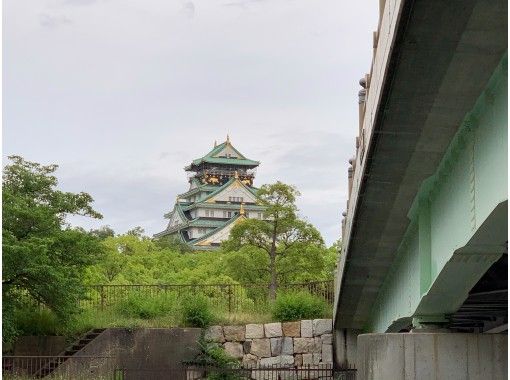 大阪 道頓堀 お洒落な遊び方 貸切で宴会クルーズしながら観光しよう アクティビティジャパン 大阪 道頓堀 お洒落な遊び方 貸切で宴会クルーズしながら観光しよう アクティビティジャパン