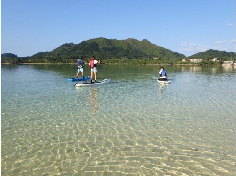 【沖縄・石垣島】★有名な川平湾／マングローブSUP★ プラスでシュノーケル！送迎・器材・駐車場・施設・シャワー無料！の紹介画像