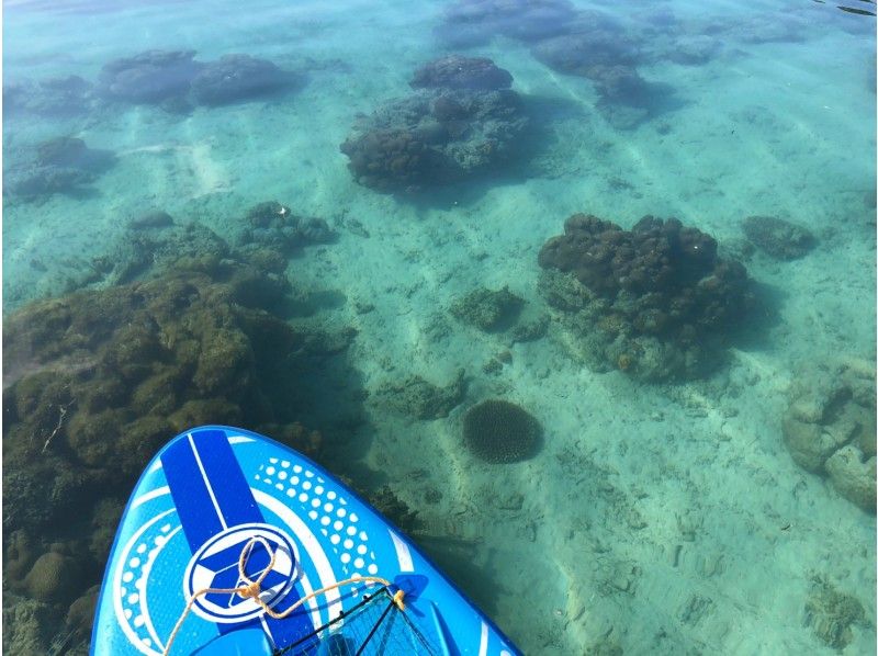 [Okinawa/Ishigaki Island] ★Famous Kabira Bay/Mangrove SUP★ Snorkel with Plus! Free equipment, parking, facilities, and showers [Available for local coupons]の紹介画像