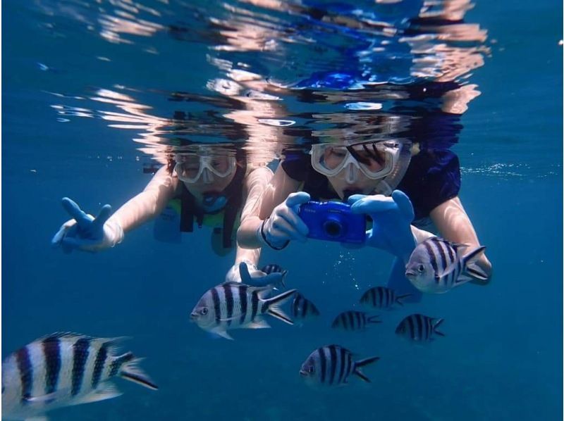 [Okinawa/Ishigaki Island] ★Famous Kabira Bay/Mangrove SUP★ Snorkel with Plus! Free equipment, parking, facilities, and showers [Available for local coupons]の紹介画像