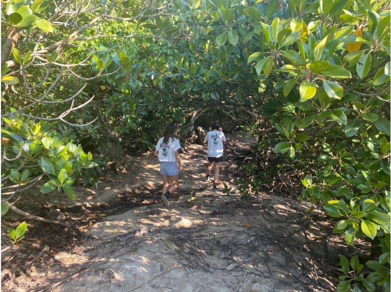 [Okinawa/Ishigaki Island] ★Famous Kabira Bay/Mangrove SUP★ Snorkel with Plus! Free equipment, parking, facilities, and showers [Available for local coupons]の紹介画像