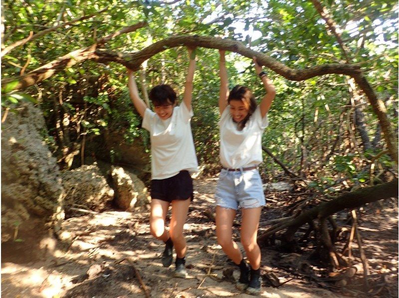 [Okinawa/Ishigaki Island] ★Famous Kabira Bay/Mangrove SUP★ Snorkel with Plus! Free equipment, parking, facilities, and showers [Available for local coupons]の紹介画像