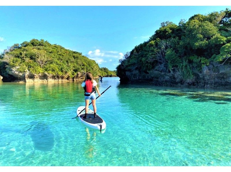 [Okinawa/Ishigaki Island] ★Famous Kabira Bay/Mangrove SUP★ Snorkel with Plus! Free equipment, parking, facilities, and showers [Available for local coupons]の紹介画像