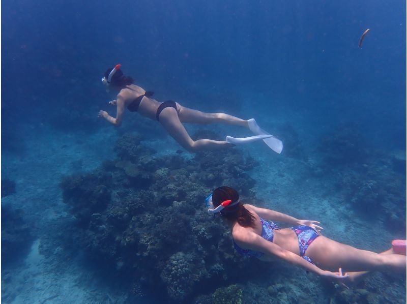 [Okinawa Ishigaki Island] Full day ♪ Skin Diving & Snorkeling ✩ Let's enjoy the sea of Ishigaki Island ♫ Free equipment rental! !の紹介画像