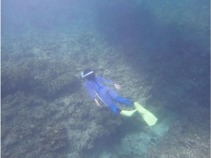 [Okinawa Ishigaki Island] 1 day Skin Diving & Snorkeling ✩ equipment rental included