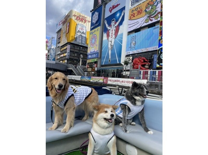 [โอซาก้า Dotonbori] ยอดนิยมมาก! ล่องเรือพิเศษ! ! หลักสูตร 20 นาทีสำหรับการขี่ง่ายの紹介画像