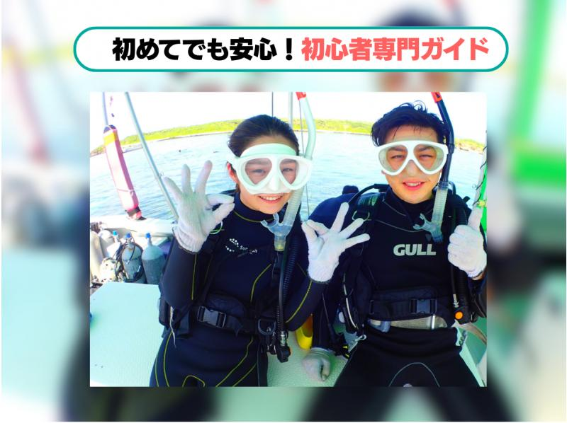 【石垣島・7時間】その日のベストスポットへ！幻の島・マンタ・ウミガメ・珊瑚から選りすぐりで満喫ダイブ＆シュノーケル_d02の紹介画像