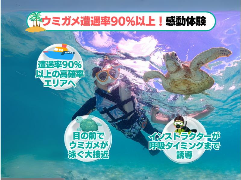 【石垣島・7時間】その日のベストスポットへ！幻の島・マンタ・ウミガメ・珊瑚から選りすぐりで満喫ダイブ＆シュノーケル_d02の紹介画像