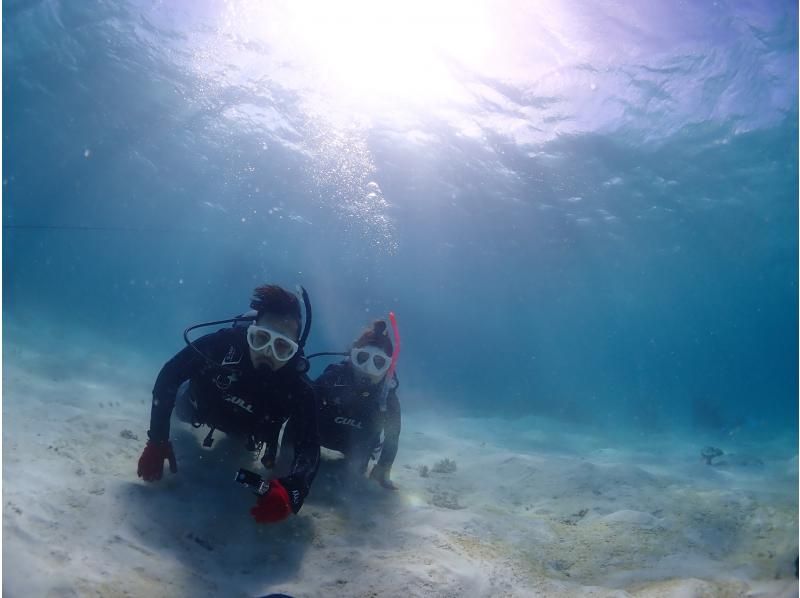 [Autumn sale underway] <Beginners only> [Ishigaki Island/1 day] Beginners only! Diving & Snorkeling - Explore a fantastic island & swim with sea turtlesの紹介画像