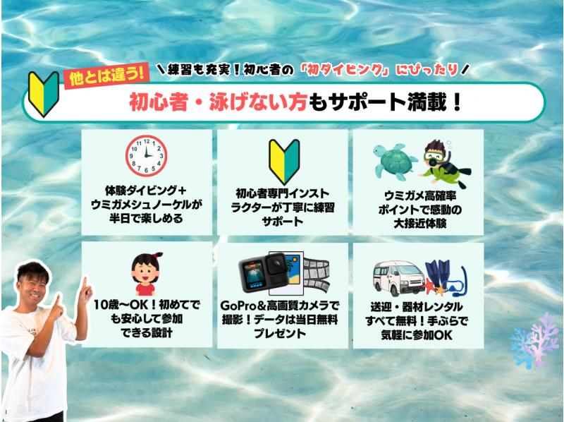 【石垣島・3時間】はじめてでも安心♪ 体験ダイビング＆ウミガメシュノーケル｜専属ガイド・送迎＆写真データ付き｜マンタとの出会いも！？_d03の紹介画像