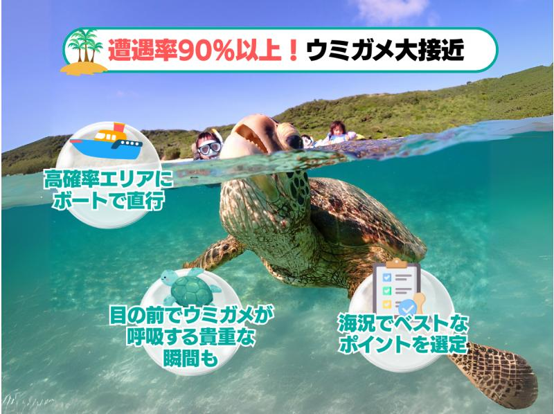 [Autumn sale underway] [Ishigaki Island/half day] Beginners welcome! The ultimate diving and snorkeling experience - a dream combo plan to swim with sea turtles!の紹介画像