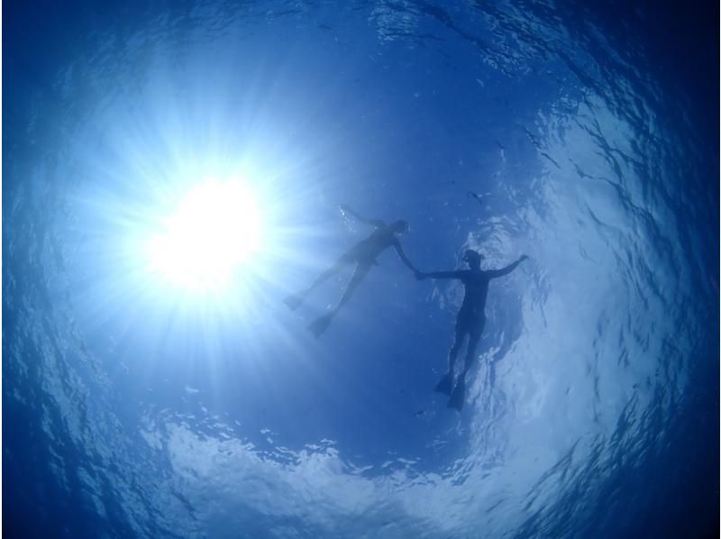 【石垣島・3時間】初心者専門！ダイビング＆シュノーケリングを一度に体験 - ウミガメと泳ぐ半日プラン！の紹介画像