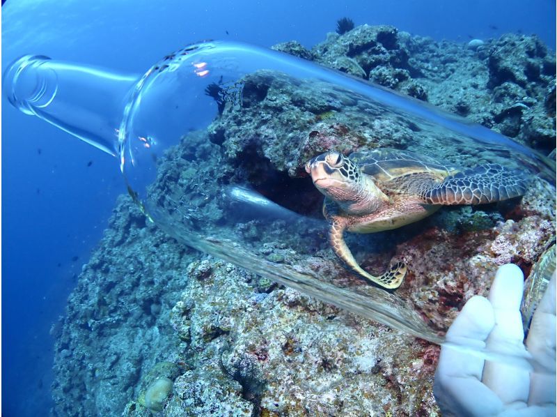 [Autumn sale underway] [Ishigaki Island/half day] Beginners welcome! The ultimate diving and snorkeling experience - a dream combo plan to swim with sea turtles!の紹介画像