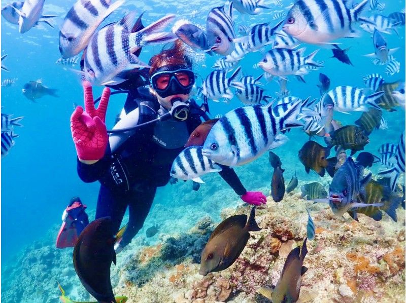 [Okinawa / Blue Cave / Fun Diving] Enjoy feeding blue cave and tropical fish ★ Popular GoPro photos & videos free ★ Safe Okinawan guide ★ Reviews & photo satisfaction No1の紹介画像