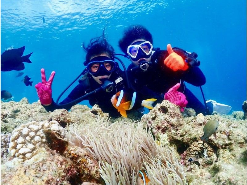 【沖縄・青の洞窟・ファンダイビング・2ダイブ】青の洞窟と熱帯魚の餌付け満喫！大人気GoPro写真＆動画無料！口コミ＆写真満足度Ｎo1の紹介画像