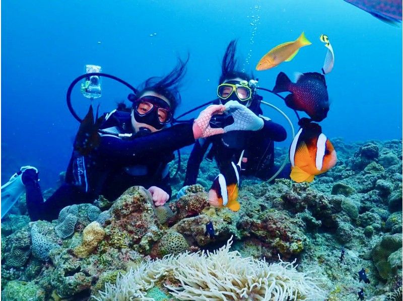 【沖縄・青の洞窟・ファンダイビング・2ダイブ】青の洞窟と熱帯魚の餌付け満喫！大人気GoPro写真＆動画無料！口コミ＆写真満足度Ｎo1の紹介画像