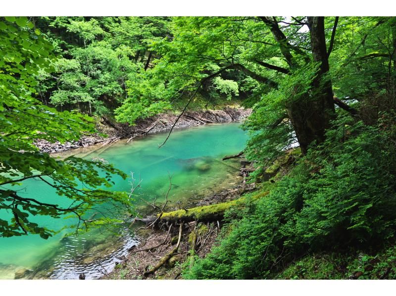 【初心者歓迎！栃木県】奥日光の秘境！切込湖・刈込湖トレッキング！【1日限定開催】の紹介画像