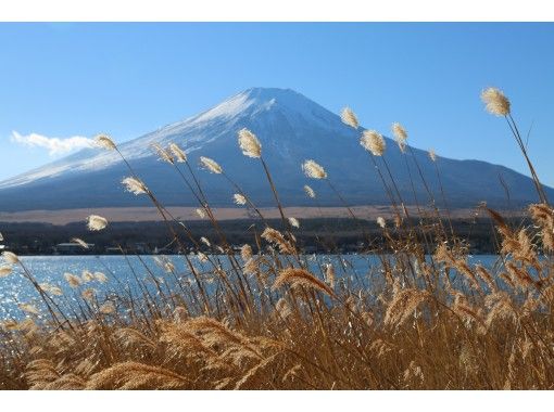 山梨/富士五湖/山中湖】带导游的山地自行车骑行之旅！如果这是您第一次 