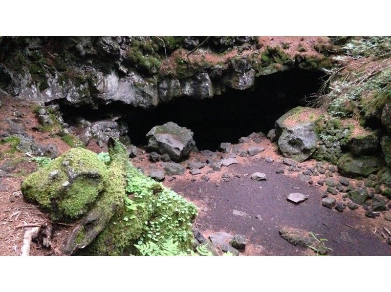【山梨县、富士山麓、树海】富士树海山地车骑行→徒步→熔岩洞探险！の紹介画像