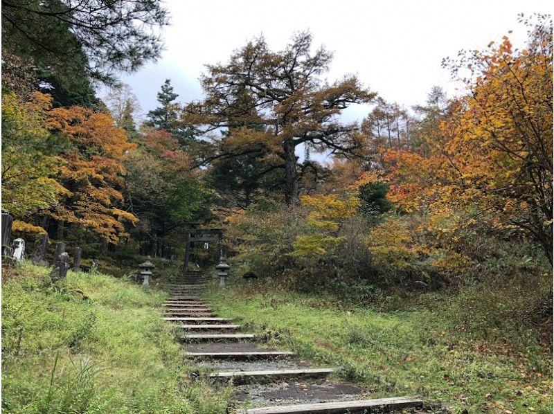 【山梨县、富士山麓、树海】富士树海山地车骑行→徒步→熔岩洞探险！の紹介画像