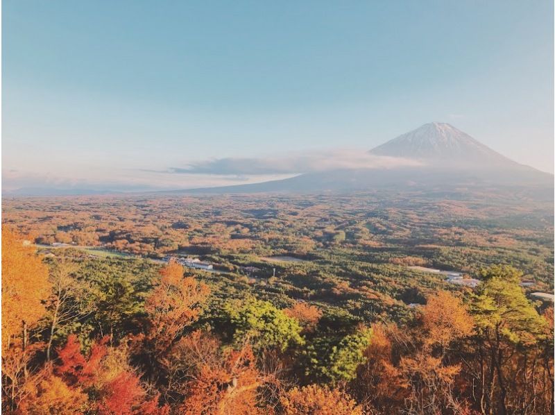 【山梨县、富士山麓、树海】富士树海山地车骑行→徒步→熔岩洞探险！の紹介画像
