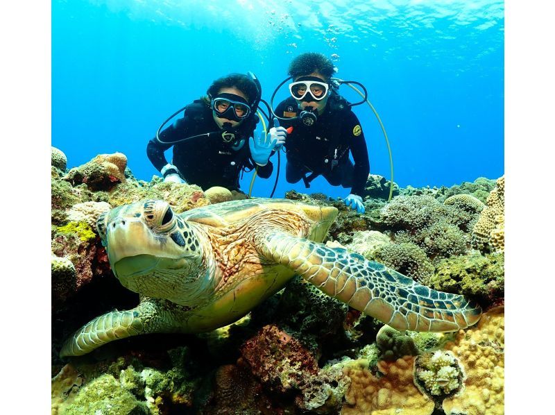 【那覇発・慶良間・半日 】インストラクター貸切体験ダイビング☆全てコミコミ料金♪ダイビング初挑戦の方にお勧め☆高画質の水中動画プレゼントの紹介画像