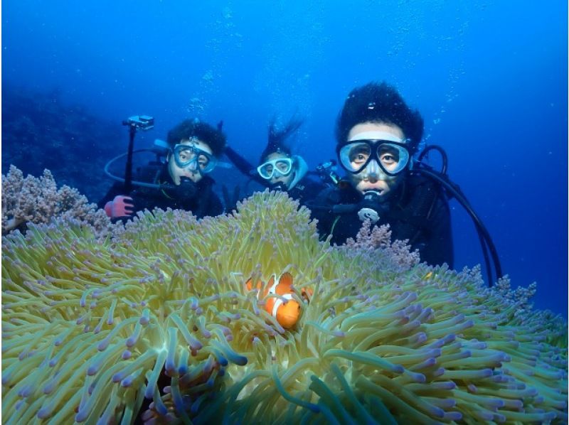 【那覇発・慶良間半日】初めての方におすすめ☆インストラクター完全貸切♪水中写真無料★空港・ホテル送迎無料・体験ダイビング&シュノーケルの紹介画像