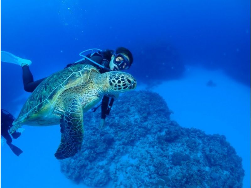 【那覇発・慶良間半日】初めての方におすすめ☆インストラクター完全貸切♪水中写真無料★空港・ホテル送迎無料・体験ダイビング&シュノーケルの紹介画像