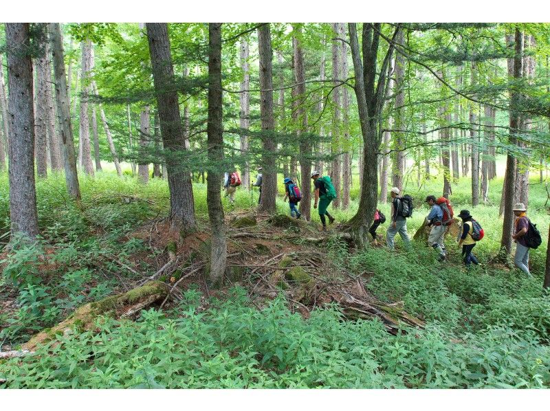 What is trekking?hikingや登山との違いとWithin Japanおすすめ体験ツアーを徹底紹介!