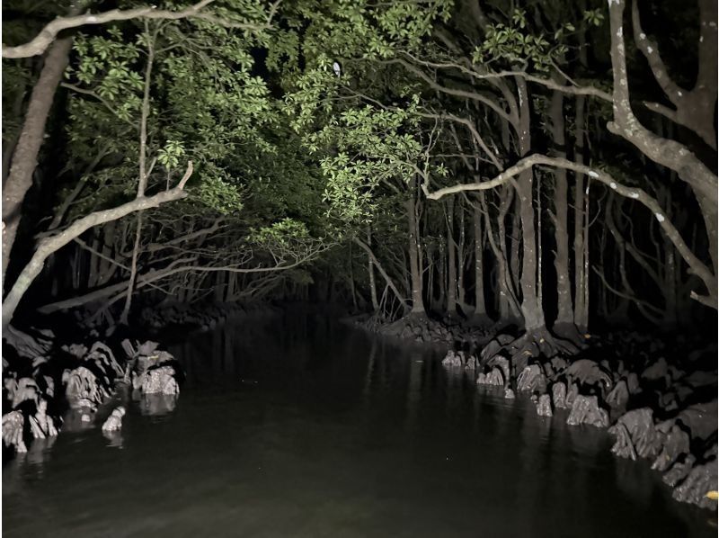 【石垣島/ナイトサファリ】星空鑑賞&神秘的なマングローブをカヌーorSUP体験✨上陸し様々な生物に巡り逢える冒険ツアー‼️完全初心者向け✨の紹介画像