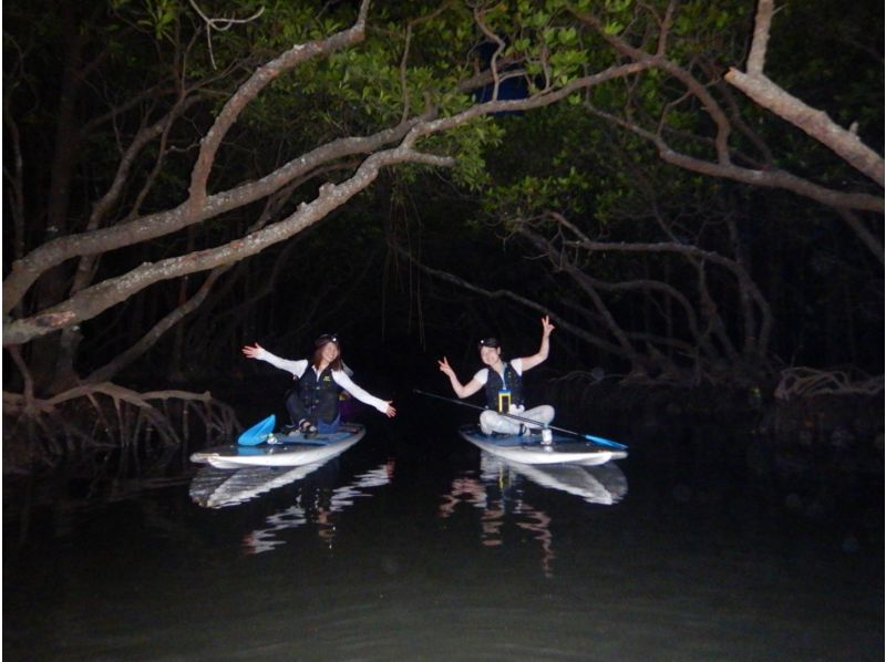 【石垣島/ナイトサファリ】星空鑑賞&神秘的なマングローブをカヌーorSUP体験✨上陸し様々な生物に巡り逢える冒険ツアー‼️完全初心者向け✨の紹介画像