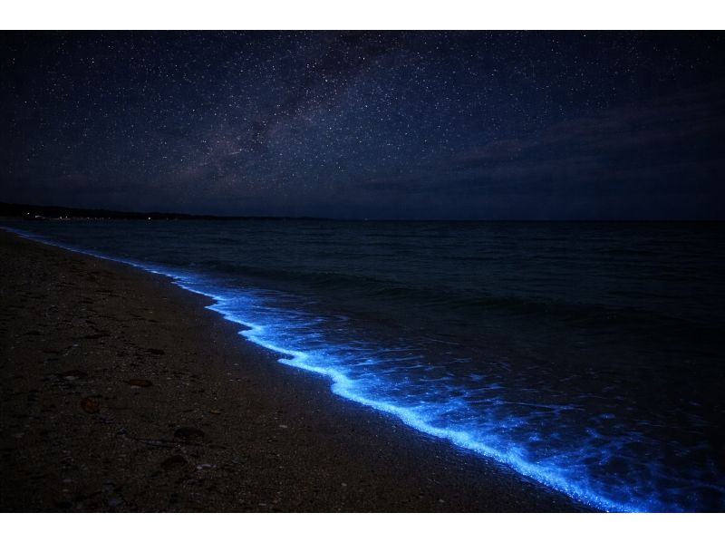 【石垣島/ナイトサファリ】星空鑑賞&神秘的なマングローブをカヌーorSUP体験✨上陸し様々な生物に巡り逢える冒険ツアー‼️完全初心者向け✨の紹介画像