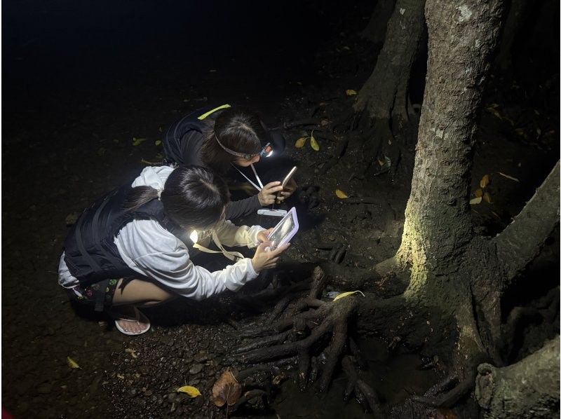 【石垣島/ナイトサファリ】星空鑑賞&神秘的なマングローブをカヌーorSUP体験✨上陸し様々な生物に巡り逢える冒険ツアー‼️完全初心者向け✨の紹介画像