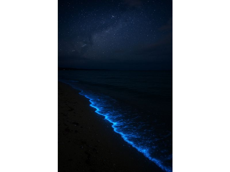 【石垣島/ナイトサファリ】星空鑑賞&神秘的なマングローブをカヌーorSUP体験✨上陸し様々な生物に巡り逢える冒険ツアー‼️完全初心者向け✨の紹介画像