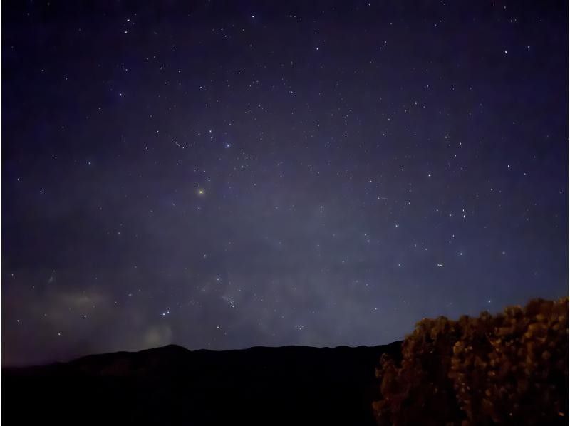 【石垣島/ナイトサファリ】星空鑑賞&神秘的なマングローブをカヌーorSUP体験✨上陸し様々な生物に巡り逢える冒険ツアー‼️完全初心者向け✨の紹介画像