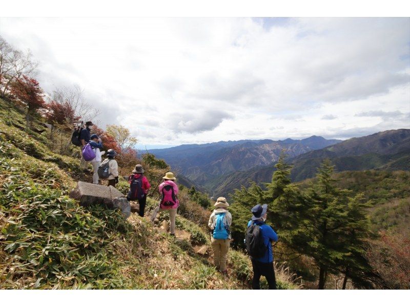 緑薫る奥日光の絶景を楽しむ！初夏の半月山トレッキング【栃木・奥日光】の紹介画像