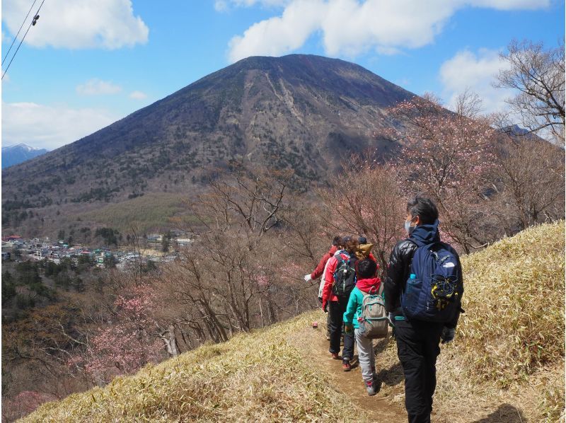What is trekking?hikingや登山との違いとWithin Japanおすすめ体験ツアーを徹底紹介！