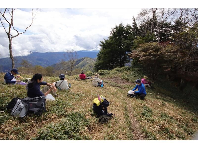 緑薫る奥日光の絶景を楽しむ！初夏の半月山トレッキング【栃木・奥日光】の紹介画像