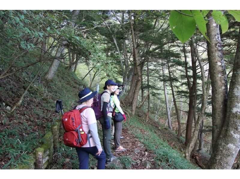 緑薫る奥日光の絶景を楽しむ！初夏の半月山トレッキング【栃木・奥日光】の紹介画像