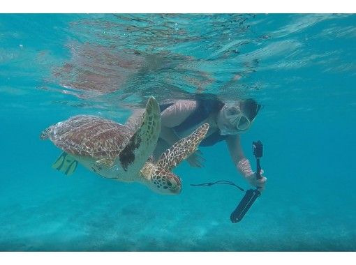 北谷 那覇発 チャータークルーザーで行く 渡嘉敷島 とかしくビーチ 海水浴日帰りツアー アクティビティジャパン 北谷 那覇発 チャータークルーザーで行く 渡嘉敷島 とかしくビーチ 海水浴日帰りツアー アクティビティジャパン
