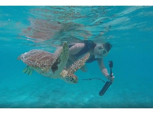 北谷 那覇発 チャータークルーザーで行く 渡嘉敷島 とかしくビーチ 海水浴日帰りツアー アクティビティジャパン