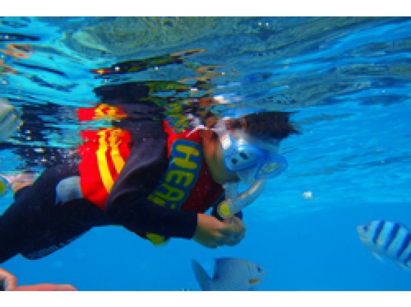 【沖縄県恩納村】3歳からの青の洞窟へ行くキッズシュノーケリングボートコースの紹介画像