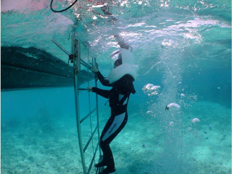 [Okinawa Blue Cave] Blue Cave Experience Diving by Boat & Onna Village Sea Walk Setの紹介画像