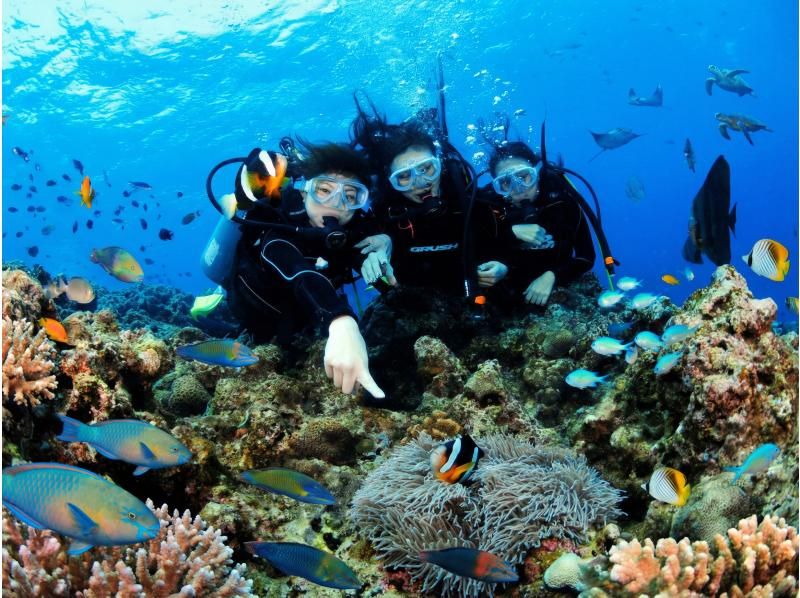 【沖縄県恩納村】青の洞窟へ行く体験ダイビング＆シーウォークボートツアーセットの紹介画像