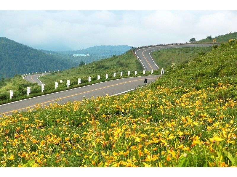 [Shirakaba Lake e-Bike Cycling Tour] Touring a superb view course with MATE.BIKE!の紹介画像