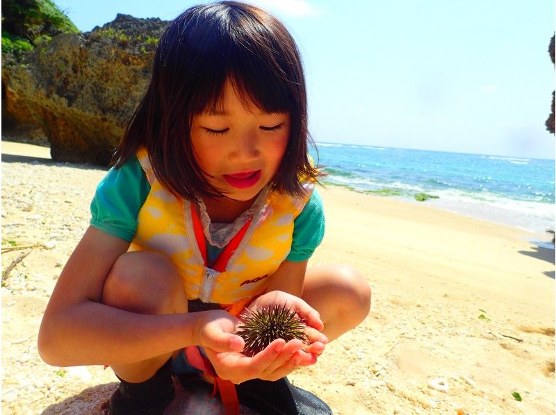 〈ファミリー大歓迎〉海の底を冒険！海の生きものやさんごに会いにゆこう！！歩いて渡る無人島ツアー〈恩納村〉の紹介画像