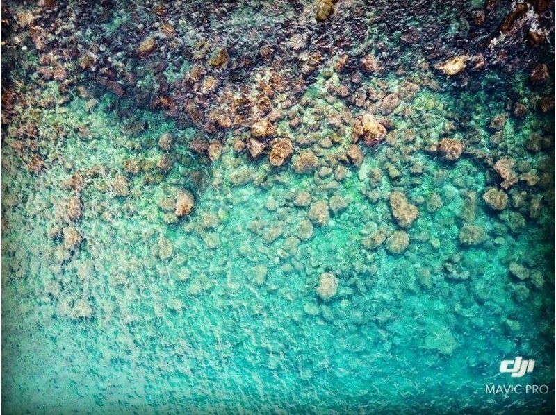 経験者向けプラン！本格的器材を借りて自由に1日シュノーケリングの紹介画像