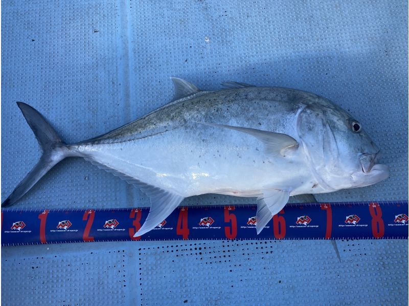 卒業旅行割引【石垣島・3時間】狙うは高級魚！！初心者も船長が完全サポート！半日船釣りコース【レンタル無料・手ぶらでOK】の紹介画像