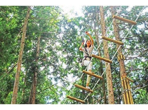 三島スカイウォーク 箱根 関東最大級のアスレチックパークで 森の中の本格アスレチックと大人気ロングジップラインを体験できる特別コース アクティビティジャパン